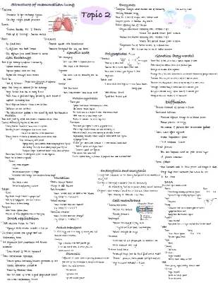 Gas Exchange & DNA Replication for A Level Biology - Easy Notes & Diagrams