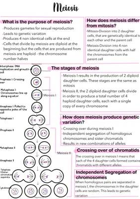 Meiosis