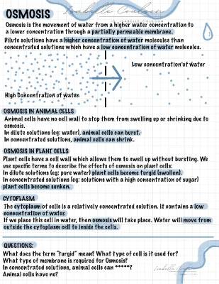 GCSE Biology Notes: Osmosis in Animal Cells & The Heart Explained