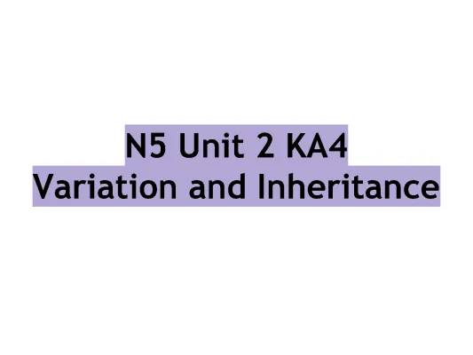 Fun with Genetics: Simple N5 Biology Terms and Punnett Square Puzzles