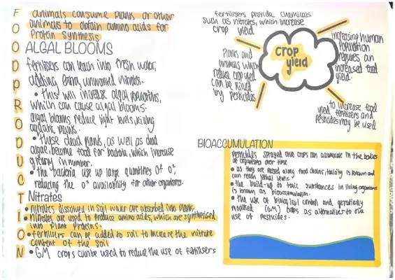 Understanding Algal Blooms: Their Negative Effects on Biodiversity and How We Can Help