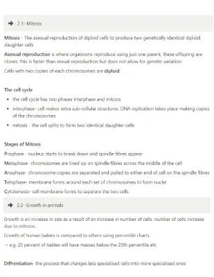 Stages of Mitosis & Brain Structure - GCSE Edexcel & AQA Biology