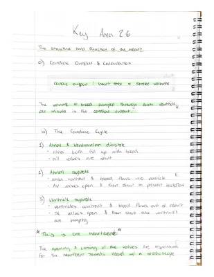 Higher Human Biology Key Area 2.6 - Heart Structure & Function (SQA Notes PDF)