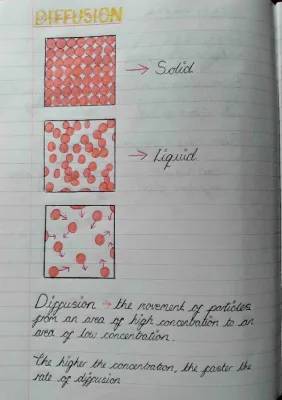 Diffusion and Osmosis for GCSE Biology: Fun Notes and Easy Examples!