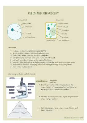 GCSE Cells and Microscopy Fun - Worksheets and Cheat Sheets!