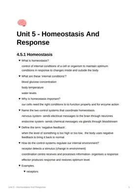 Fun GCSE Biology: Easy Homeostasis and Nervous System Questions!