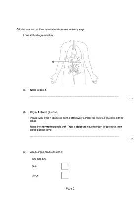 Hormonal coordination in humans 