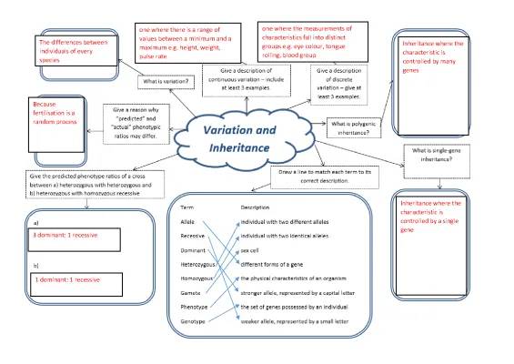 variation and inheritance mind map