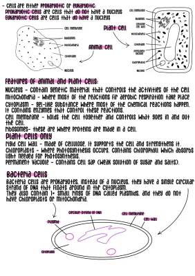 GCSE Biology B1 Cell Biology Revision Notes - PDF FREE Download