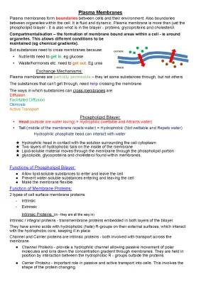 How Cell Membranes Work: Plasma Membrane Tricks and Protein Helpers