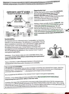 Fun Microeconomics: Opportunity Cost, Sustainability, and Production Possibility Curve