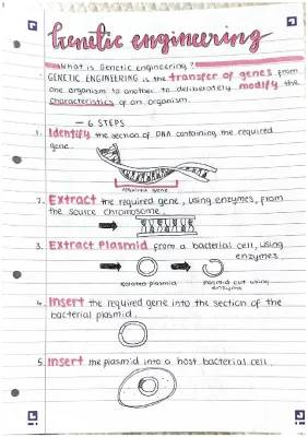 What Are Genetic Engineering Steps? Pros, Cons, and Examples!