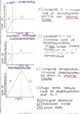 GCSE Biology Unit 1: Photosynthesis & Food Tests