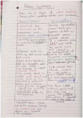 Protein Synthesis Steps for Kids: Transcription and Translation Fun