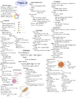 Cell Division, Cancer, and Stem Cells in A Level Biology