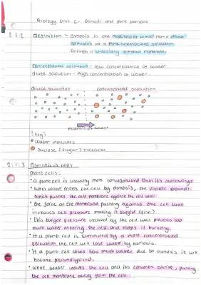 What is Osmosis? Learn with Diagrams and Fun Examples!