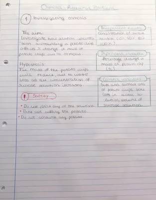 Easy Potato Osmosis Experiment: Practical Steps and Observations