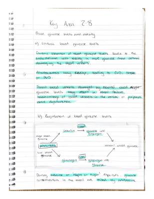 Understanding Blood Glucose, Obesity, and Diabetes in Higher Human Biology