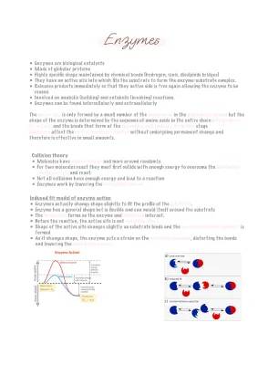 Cool Enzymes and How They Work - AQA GCSE & A Level Biology