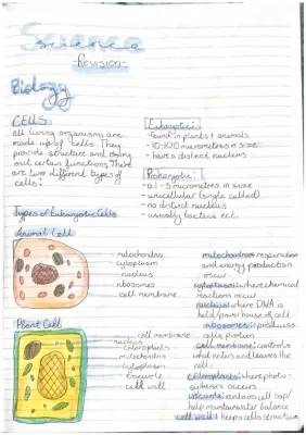 Year 10 Biology Revision Notes: Cells and Organisms PDF Guide