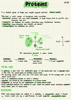 Cool Biology Notes on Protein Structure and Function