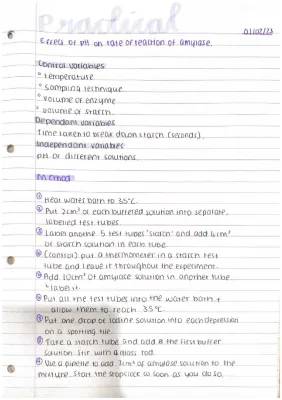 Effect of pH on Amylase Activity Lab Report PDF – Starch Experiment Results for Kids