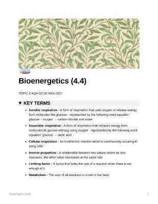 AQA GCSE Biology Higher Bioenergetics Notes, Questions & Answers PDF