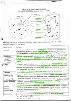 Simple Guide: How Plant, Animal, and Bacterial Cells Are Different