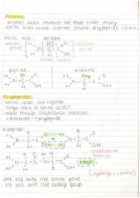 Unit 1 as level : protein and lipids 