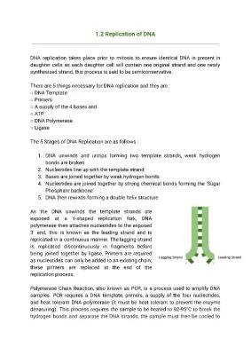 Understanding DNA Replication and PCR