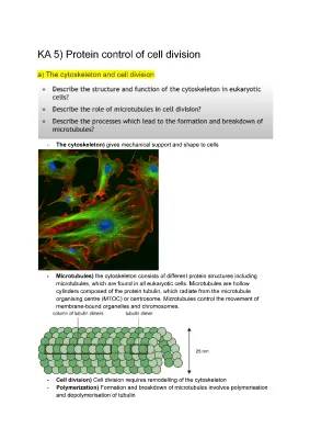 Advanced Higher Biology Notes: Protein Control of Cell Division & Cytoskeleton Functions