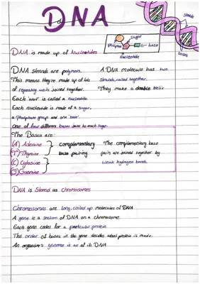 Fun DNA and Chromosomes Facts for Kids: Explore Double Helix, Nucleotides, and More!