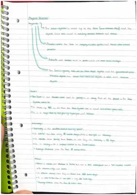 Free Year 8 Physics Solar System and Hooke's Law Notes PDF