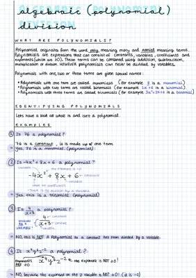 Polynomial division 