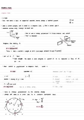 A LEVEL PHYSICS Magnetic Fields