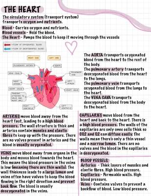 AQA Biology GCSE Heart Revision - Easy Exam Questions, Diagrams, and Answers