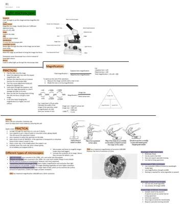 Microscope Fun: Easy Guide for Kids to Use a Light Microscope and Prepare Slides