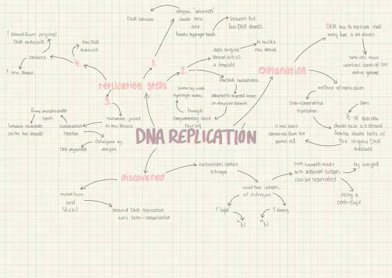 How DNA Copies Itself: Cool DNA Unwinding and Experiments!