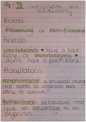 Exploring Animals and Plants: Vertebrates, Invertebrates, and Cool Nature Tricks