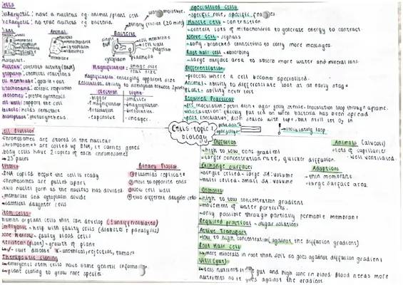 What's Inside Cells: Eukaryotic vs. Prokaryotic