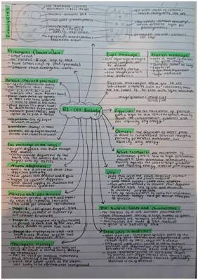 paper 1 notes topics 1-4