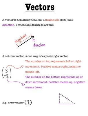 vectors 