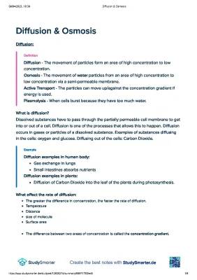 Fun With Diffusion and Osmosis: Easy Study Notes for Kids