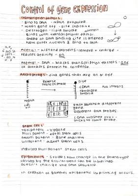 Control of Gene Expression