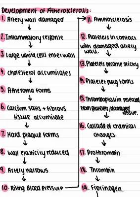 blood pathways and atherosclerosis 