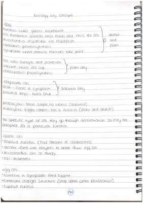 What's the Difference Between Prokaryotic and Eukaryotic Cells?