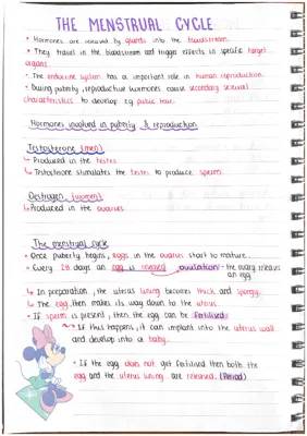 Understanding Menstrual Cycle Hormones for GCSE Biology: AQA & Edexcel Answers