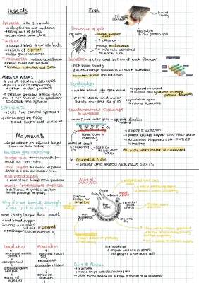 How Gas Exchange Works in Mammals, Fish, and Insects: Easy Guide with Diagrams