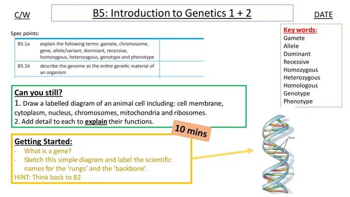 Fun Guide to Genetics: Free PDFs and Easy Notes for Kids