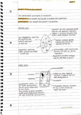 Cell Biology Study Notes: Free PDF Download for GCSE and B.Sc